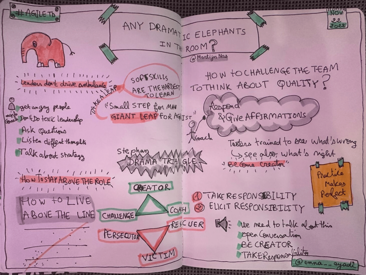 Any dramatic elephants in the room? – by Martijn Nas (AgileTD&nbsp;2022)