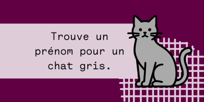 Illustration représentant le parcours émotionnel d'une professionnelle du test logiciel face à l'intelligence artificielle, depuis un premier prompt pour nommer un chat gris jusqu'aux questionnements sur l'identité professionnelle, l'AI shaming, la confiance en soi et le FOMO.
