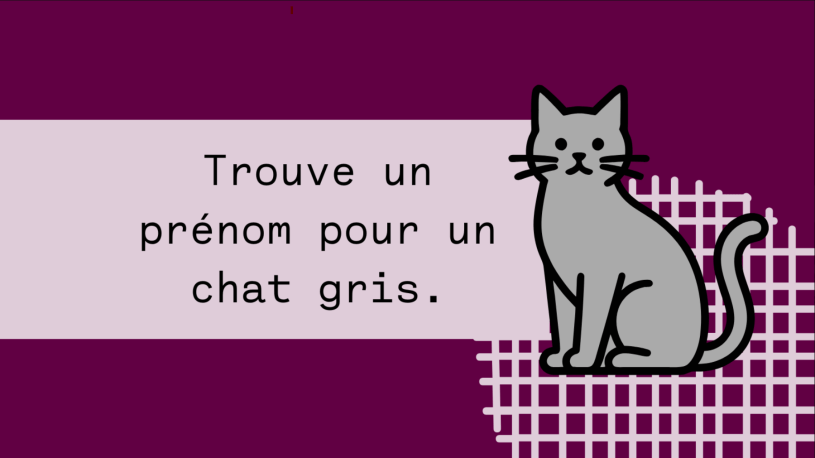 Illustration représentant le parcours émotionnel d'une professionnelle du test logiciel face à l'intelligence artificielle, depuis un premier prompt pour nommer un chat gris jusqu'aux questionnements sur l'identité professionnelle, l'AI shaming, la confiance en soi et le FOMO.